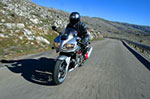 Suzuki SV1000S